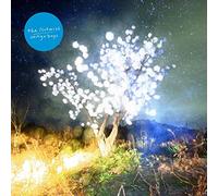 The Notwist - Vertigo Days (2LP) [VINYL]