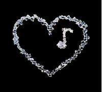 the Nouve - The Last Goodbye Is Not Always the End