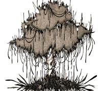 The Novembers - Picnic