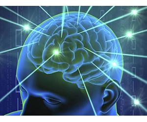 The Nuts and Bolts of the Stress-Response