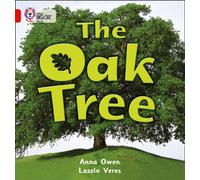 The Oak Tree: A non-fiction photographic picture book about the different parts of an oak tree. (Collins Big Cat)