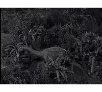 The Odyssey of Flight #33