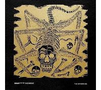 THE OFFSPRING IXNAY ON THE HOMBRE [20TH ANNIVERSARY LIMITED EDITION] [LP] NEW LP