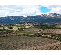 The oldest winery in Spain