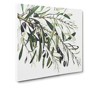 The Olive Branch Canvas Print | Gallery Wrapped 30mm Frame Wall Art | 14x14 inches | Ready to Hang | Modern Picture | Living Room Bedroom Lounge Office