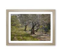 The Olive Grove by William Merritt Chase Framed Print | A2 Oak Framed Wall Art | Ready to Hang | Modern Nature Picture | Living Room Bedroom Lounge Office