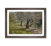The Olive Grove by William Merritt Chase Framed Print | A2 Walnut Framed Wall Art | Ready to Hang | Modern Nature Picture | Living Room Bedroom Lounge Office
