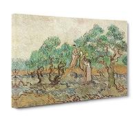 The Olive Orchard By Vincent Van Gogh Canvas Print | Gallery Wrapped 30mm Frame Wall Art | 30x20 inches | Ready to Hang | Impressionist Picture | Living Room Bedroom Lounge Office