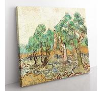 The Olive Orchard by Vincent van gogh Classic Painting Canvas Wall Art Print Ready to Hang, Framed Picture for Living Room Bedroom Home Office Décor, 50x50 cm (20x20 Inch)