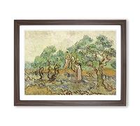 The Olive Orchard By Vincent Van Gogh Classic Painting Framed Print | A2 Walnut Framed Wall Art | Ready to Hang | Classic Historical Picture | Living Room Bedroom Lounge Office