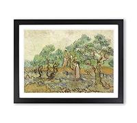 The Olive Orchard By Vincent Van Gogh Classic Painting Framed Wall Art Print, Ready to Hang Picture for Living Room Bedroom Home Office Décor, Black A4 (34 x 25 cm)