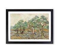 The Olive Orchard by Vincent Van Gogh Framed Print | A2 Black Framed Wall Art | Ready to Hang | Modern Historical Picture | Living Room Bedroom Lounge Office