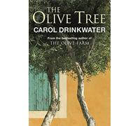 The Olive Tree of Provence