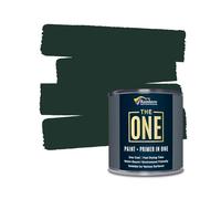 The ONE All-In-One Paint & Primer - Dark Green Gloss, 1 L | Multi-Surface 1 Coat Formula | Easy Indoor & Outdoor Decorating for Home & Garden Walls, Floors & Furniture | Durable, Water-Based & Low VOC