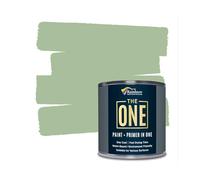 The ONE All-In-One Paint & Primer - Light Green Matt, 2.5 L | Multi-Surface 1 Coat Formula | Easy Indoor & Outdoor Decorating for Home & Garden Walls, Floors, Furniture | Durable, Water-Based, Low VOC