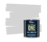 THE ONE All-In-One Paint & Primer - Light Grey Satin, 250 ml | Multi-Surface 1 Coat Formula | Easy Indoor & Outdoor Decorating for Home & Garden Walls, Floors & Furniture | Water-Based & Low VOC