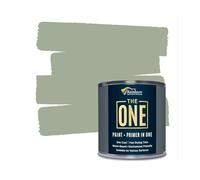 The ONE All-In-One Paint & Primer - Sage Green Satin, 250 ml | Multi-Surface 1 Coat Formula | Easy Indoor & Outdoor Decorating for Home & Garden Wall, Floors, Furniture | Durable, Water-Based, Low VOC