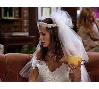 The One Where Monica Gets a Roommate