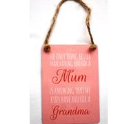 The Only Thing Better Than Having You For A Mum Mini Metal Hanging Sign