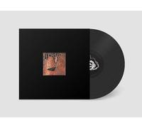 THE ORCHESTRA (FOR NOW) - PLAN 75 [VINYL]