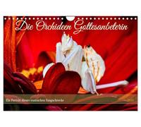 The orchid praying mantis UK-Version (Wall Calendar 2026 DIN A4 Landscape), CALVENDO 12 Month Wall Calendar