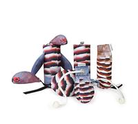 The Original Clone® Realistic Game Bird Dog Training Dummies - Canvas Dummy With HD Feather Print For Gundog & Puppy Training - Retrieval Gundog Training Equipment (Partridge Dummy Bundle)