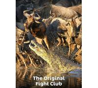 The Original Fight Club