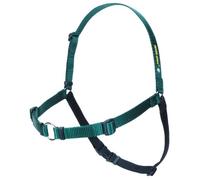 The Original SENSE-ation No-Pull Dog Training Harness - Extra Small (Green/Narrow)