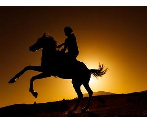 The Origins of Eurasian Steppe Nomadism