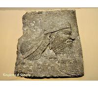 The Origins of the Sumerian Savants