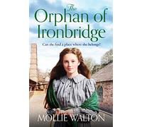 The Orphan of Ironbridge: An emotional and heartwarming family saga
