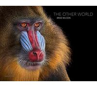 The Other World: Animal Portraits