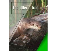 The Otter's Trail