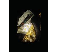 THE OUTLAW'S GUIDE TO DATING: A Survival Guide for Young Men