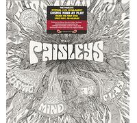 The Paisleys - Cosmic Mind At Play [VINYL]