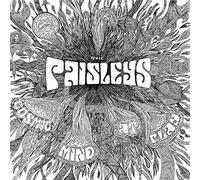 The Paisleys - Cosmic Mind At Play [VINYL]
