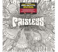 The Paisleys - Cosmic Mind At Play [VINYL]
