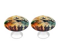 The Pakistan India Wars Funny Cabinet Knobs 2 Pack Round Drawer Dresser Pulls Door Handles Knobs for Door Wardrobe