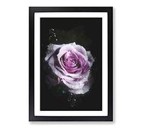 The Pale Purple Rose Paint Splash Framed Print | A2 Black Framed Wall Art | Ready to Hang | Modern Floral Picture | Living Room Bedroom Lounge Office