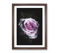 The Pale Purple Rose Paint Splash Modern Framed Wall Art Print, Ready to Hang Picture for Living Room Bedroom Home Office Décor, Walnut A2 (64 x 46 cm)