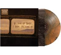 The Paper Kites - If You Go There, I Hope You Find It [VINYL]