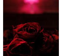 The Paper Kites - Roses [VINYL]