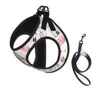 The Paris Tower And A Bicycle Print Adjustable Harness Leash Set For Cats And Dogs, Soft Breathable Kitten Puppy Mesh Vest With Reflective Design, Escape-Proof Lead For Small Pets Walking Training