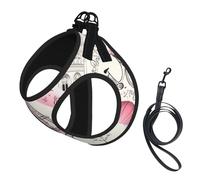 The Paris Tower and a Bicycle Print Dog Harness and Leash Set,Breathable Adjustable Escape Proof Vest for Cats Dogs