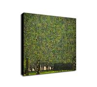 The Park by Gustav Klimt Art Print - Wrapped Framed Canvas Wall Art (12 x 12 inch / 30cm x 30 cm)