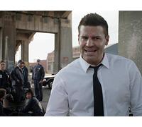 The Partners in the Divorce