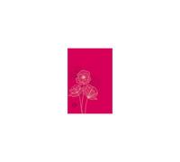 The Passion Translation New Testament (2020 Edition) Leather, Compact Fuschia Pink: With Psalms, Proverbs and Song of Songs, Contemporary Bible Makes a Great Gift for Confirmation, Holidays, and More