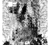 The Path Unseen [CASSETTE]