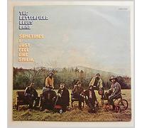 The Paul Butterfield Blues Band - BUTTERFIELD BLUES BAND LP, SOMETIMES I JUST FEEL LIKE SMILIN' (US ISSUE EX/EX VINYL)