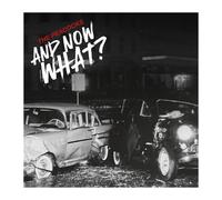 PEACOCKS, THE - AND NOW WHAT? (DIGISLEEVE)